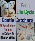 Life Cycle of a Frog Activity (Cootie Catcher Foldable Rev