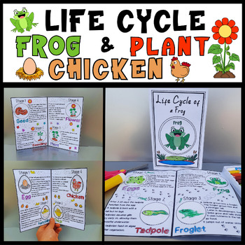 Preview of Life Cycle of a Frog,Chicken and Plant Craft Bundle Spring Science Activities