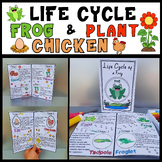 Life Cycle of a Frog,Chicken and Plant Craft Bundle Spring