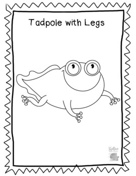 Life Cycle of a Frog Coloring Sheets by TheraPlayinPreK | TpT