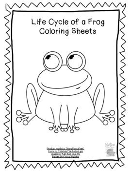 Preview of Life Cycle of a Frog Coloring Sheets