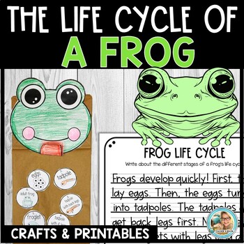 Preview of Life Cycle of a Frog Craft | Frog Life Cycle | Sequencing | Spring