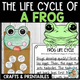 Life Cycle of a Frog Craft | Frog Life Cycle | Sequencing 
