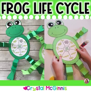 Preview of Life Cycle of a Frog Craft - Science - Spring Activity - Frog Life Cycle