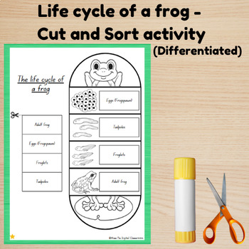 Preview of Life Cycle of a Frog; Differentiated Cut and Sort, and Colouring in activity
