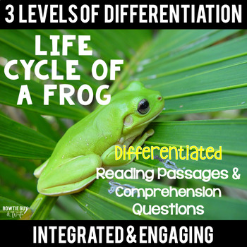 Preview of Life Cycle of a Frog Differentiated Reading Passages