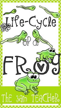 Preview of Life Cycle of a Frog Digital Clipart