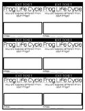 Life Cycle of a Frog Exit Ticket Freebie