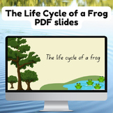 Life Cycle of a Frog; Explicit Teaching PPT & Hands-on activity