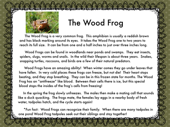 The Wood Frog: Life Cycle and Activities by Science and STEAM Team