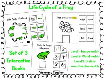 Preview of Life Cycle of a Frog - Interactive Books (SET OF 3)
