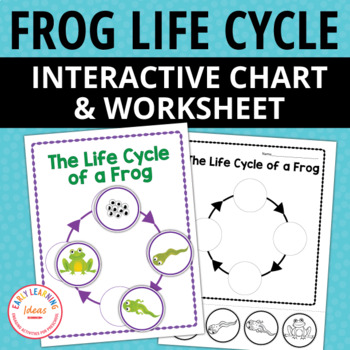 Preview of Life Cycle of a Frog Activity & Worksheet - Frogs & Pond Life Spring Activities