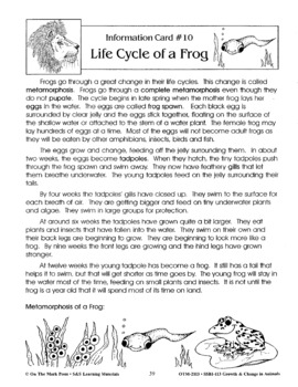 Life Cycle of a Frog Lesson Plan by On The Mark Press | TPT