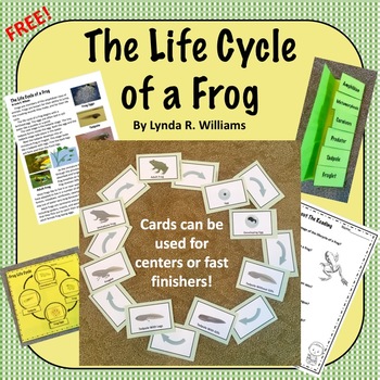 Life Cycle of a Frog Nonfiction Article, Sorting Cards and Response Pages