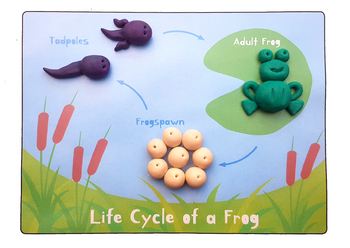 Frog Play-Doh Mat