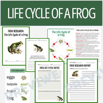 Preview of Life Cycle of a Frog Research Project Report - Information Report Activities