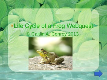 Preview of Life Cycle of a Frog Webquest