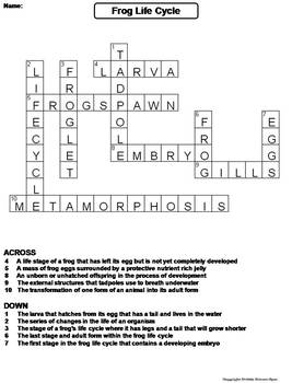 frog dissection crossword puzzle answer key