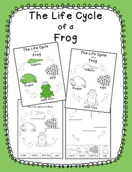 Preview of Frog Life Cycle in English