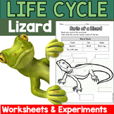 Life Cycle of a Lizards & Reptiles (Unit for Grades 1-5)