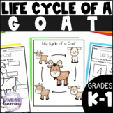 Life Cycle of a Goat Activities, Worksheets, Booklet, Post
