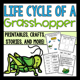 Life Cycle of a Grasshopper