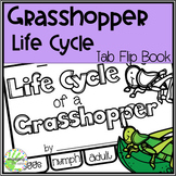 Life Cycle of a Grasshopper Tab Flip book