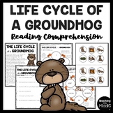 Life Cycle of a Groundhog Reading Comprehension Worksheet 