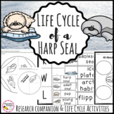 Life Cycle of a Harp Seal