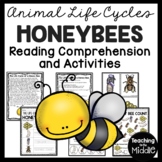 Life Cycle of a Honey Bee Activities and Worksheets honeybee