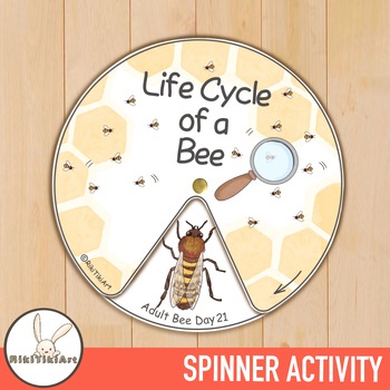 Preview of Life Cycle of a Honey Bee - Nature Study Homeschool Spinner Activity