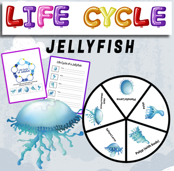 Preview of Life Cycle of a Jellyfish - life cycle of a Jellyfish craft.