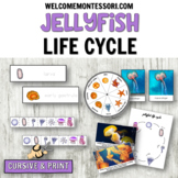 Life Cycle of a Jellyfish: Montessori Ocean Theme Activiti