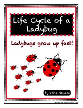 Preview of Life Cycle of a Ladybug