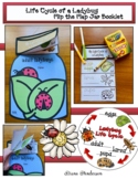 Life Cycle of a Ladybug Craft Insect Activities