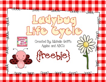 Preview of Life Cycle of a Ladybug: {Freebie}