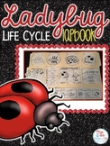 Life Cycle of a Ladybug Lapbook {with 10 foldables} Ladybu