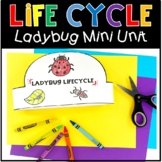 Life Cycle of a Ladybug Mini Unit