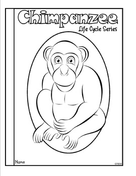 Life Cycle of a Mammal (Chimpanzee) Tab Booklet Distance Learning