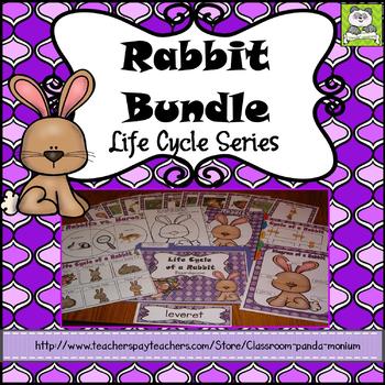 Preview of Life Cycle of a Mammal (Rabbit) Pack
