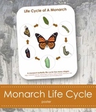 Life Cycle of a Monarch Butterfly; Montessori 8x10" Poster