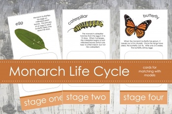 Life Cycle of a Monarch Butterfly; Montessori matching activity for models