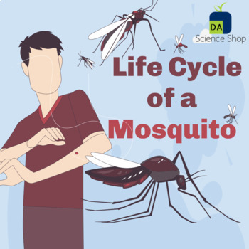 Preview of Life Cycle of a Mosquito