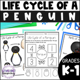 Life Cycle of a Penguin Activities, Worksheets, Booklet - 