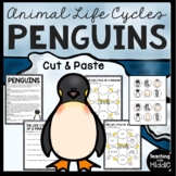 Life Cycle of a Penguin Reading Comprehension Worksheet Winter