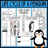 Life Cycle of a Penguin Worksheets | World Penguin Day