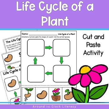 Life Cycle of a Plant by Callie's Creative Corner | TpT