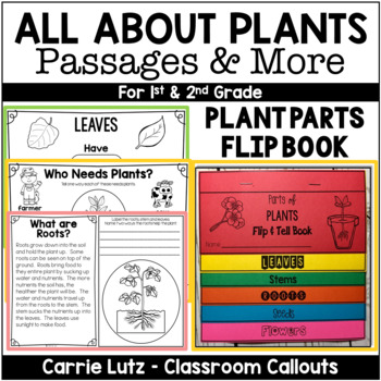 Preview of All About Plants - Life Cycle of a Plant - First Grade Science