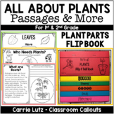 All About Plants - Life Cycle of a Plant - First Grade Science