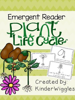 Preview of Life Cycle of a Plant